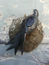 Black forest Forêt Noir