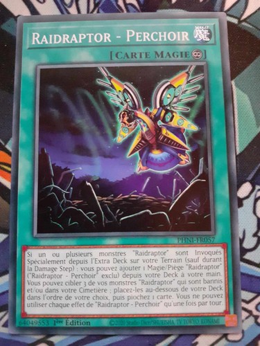 Carte raidraptor - raidraptor,