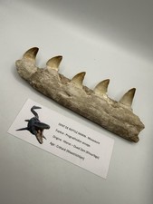 Impressionnant fragment de