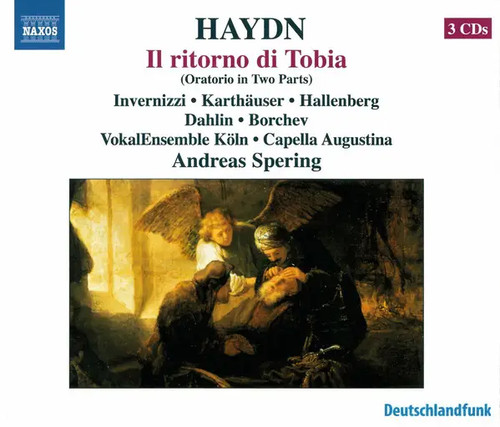Box haydn ritorno di - haydn,