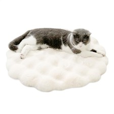 Coussin Chien Interieur