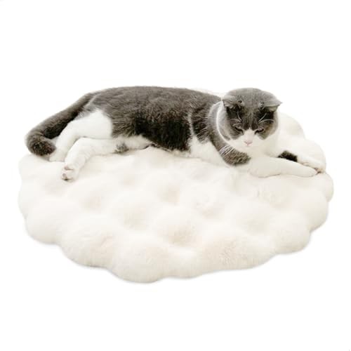 Coussin chien interieur - coussin,