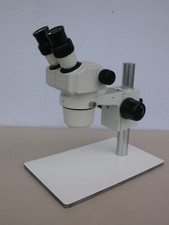 Microscope stereo loupe