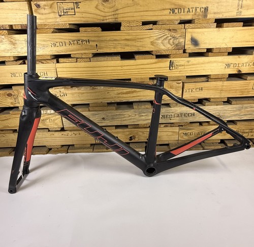 Fuji 2017 brevet - 2017,