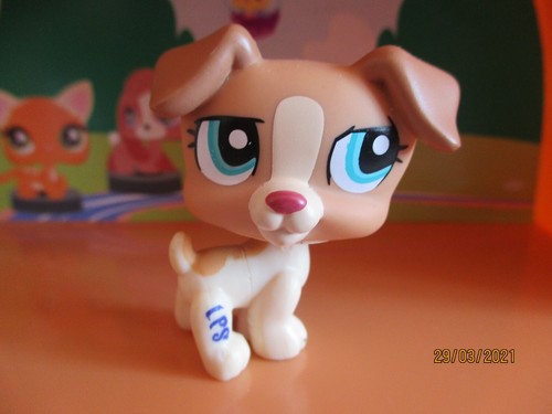 Petshop chien jack - jack, russel