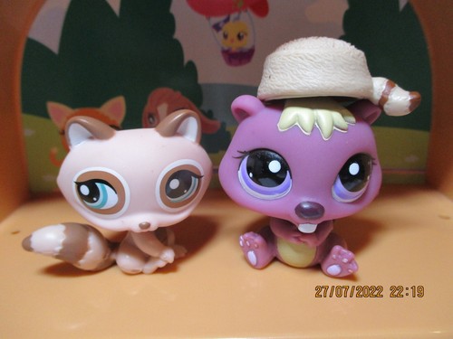 Petshop duo raccoon - petshop, +
