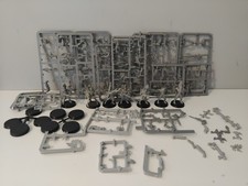 15 Guerriers Eldars Noirs