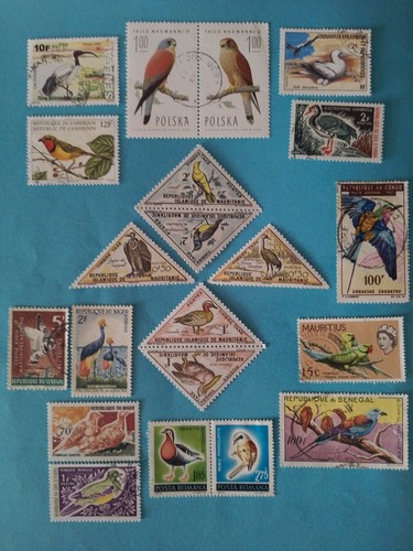 Lot oiseau pologne - lot, maurice