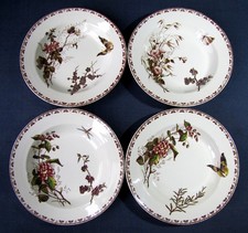 Assiettes Polychrome Service