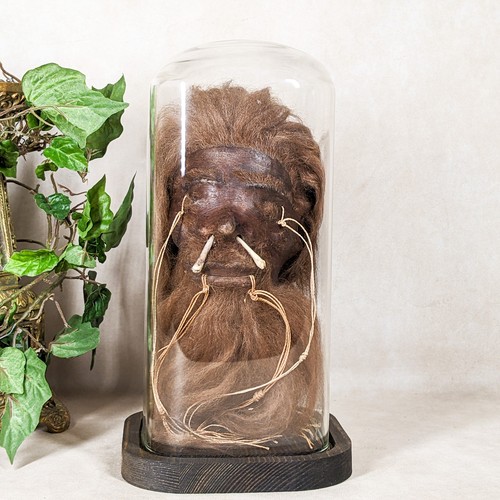 Shrunken head reproduction - shrunken,