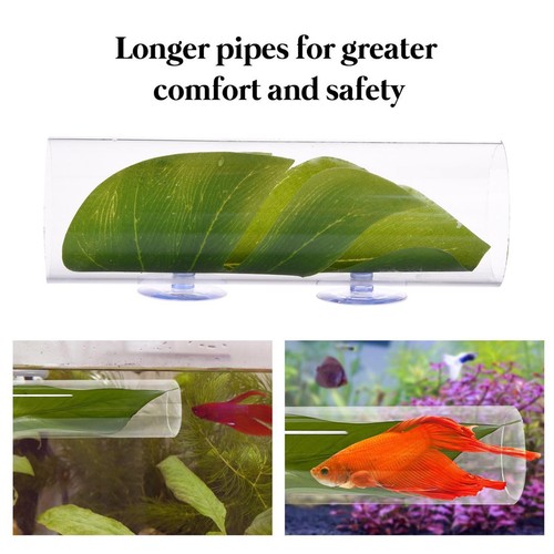 Tunnel betta pour - tunnel, poissons