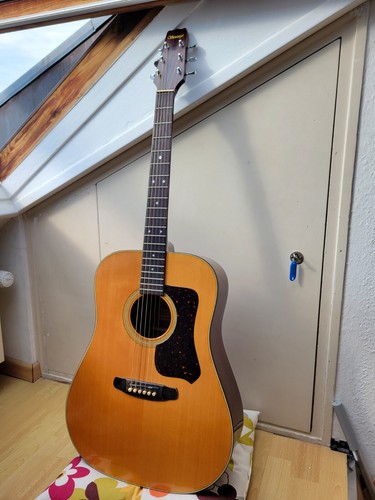 Vantage vw100 acoustic guitar - vantage,