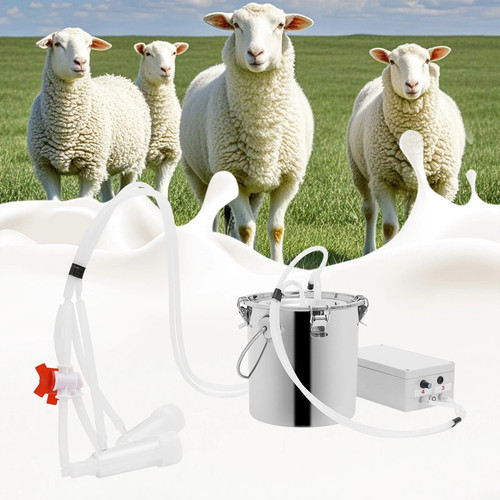 Pulsation cow milking machine - pulsation,