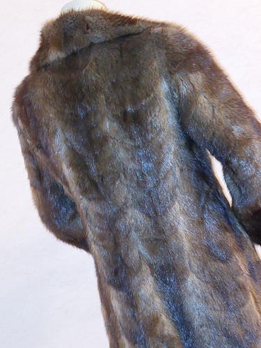 Manteau trench coat - coat, en