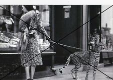  curiosité , oddities : photo