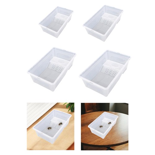 Aquarium pour tortues - aquarium,