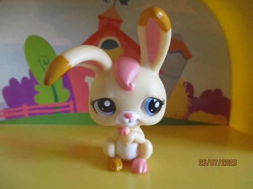 Petshop lapin garenne - lapin, de