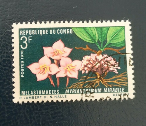 Congo 1970 flora - 1970, and