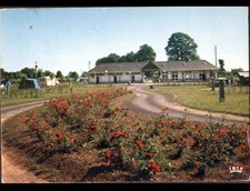 FULL (15) CARAVANS at CAMPING, 1970 period