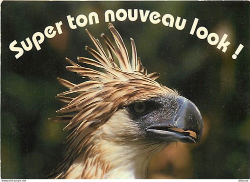 Carte postale animaux - -,