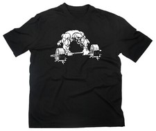 #5 Musculation T-Shirt Fitness