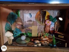 Boite à rêves objets de