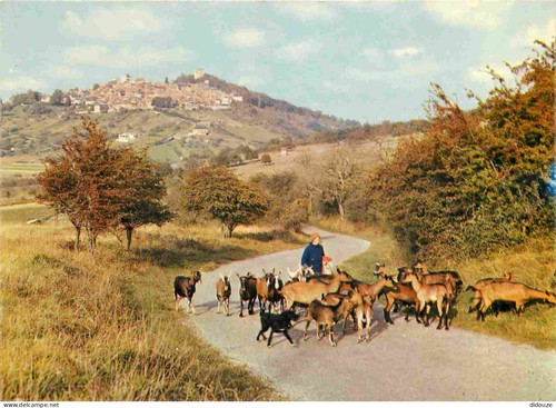 Carte postale sancerre - carte,