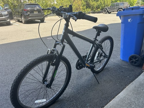 Mountain bike - mountain,