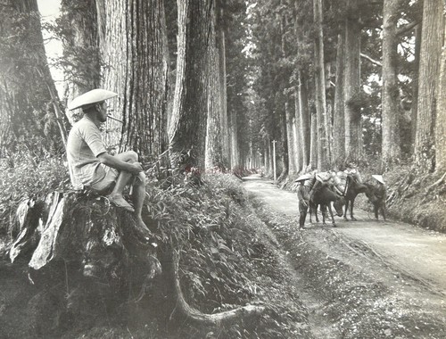Japon route sacrée vers - la,