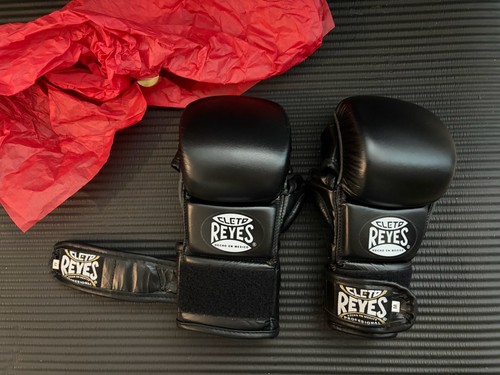 Cleto reyes mma training - reyes,
