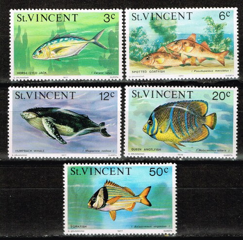 Vincent islands fauna - st.vincent,