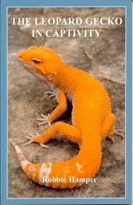 The leopard gecko - gecko, in