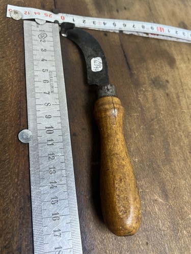 Rainette marquage forestier - rainette,