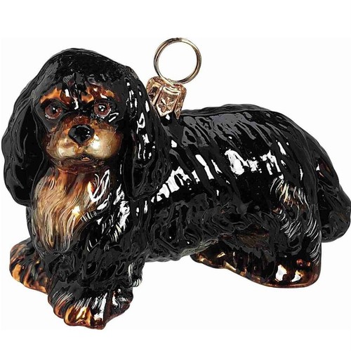 Black and tan cavalier - tan,