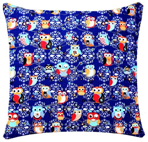 Bleu royal chouette animal - chouette,