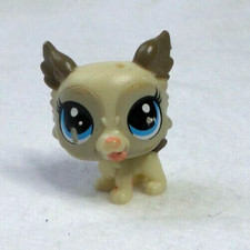 LITTLEST PETSHOP #72 HASBRO  BEBE CHIOT LHASSA APSO TIBSY APSO BEIGE YEUX BLEU