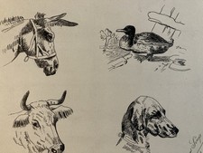 Drawing Dessin Peinture Encre