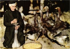 CPM France - Folklore - La Gaveuse d'oies (770032)