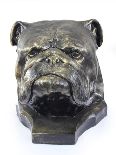 Bouledogue anglais - bouledogue, anglais,