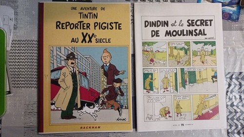 Tintin pastiche - tintin,