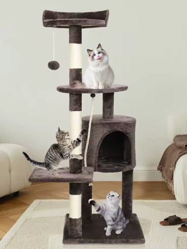 Arbre chat cadre - à,