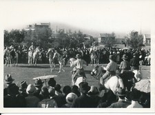 SAINTES MARIES DE LA MER c. 1950 - Guardians Games Horse Pink Armband - P 29