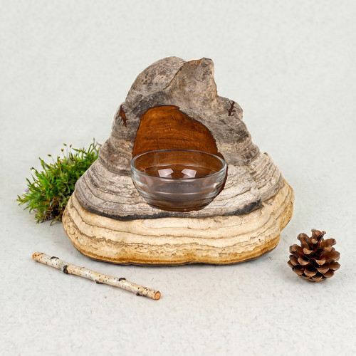 Cendrier champignon cigare - champignon, à