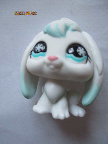 Petshop lapin belier 685 - n°685, /