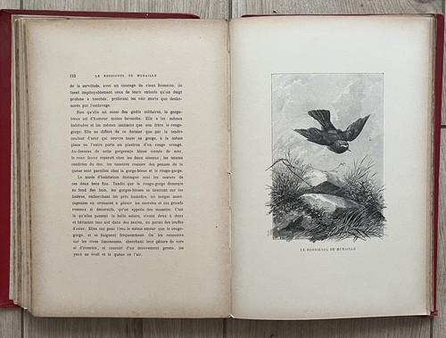 Livre ancien nos - livre,