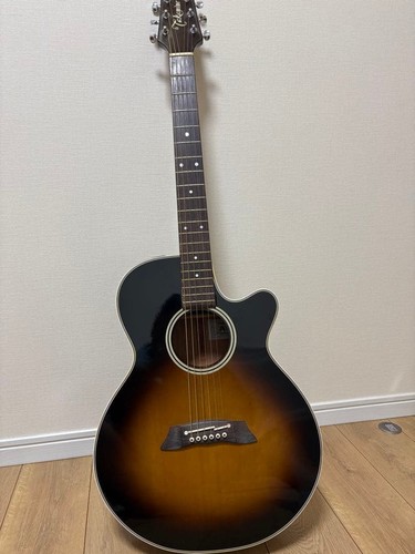 Guitare électrique acoustique
