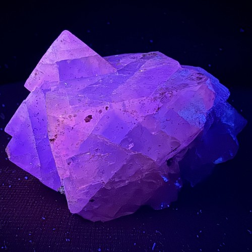 Unusual red fluorescent - unusual, red-fluorescent