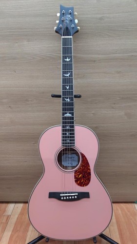 Guitare acoustique électrique
