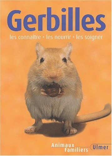 Gerbilles les connaître - les,