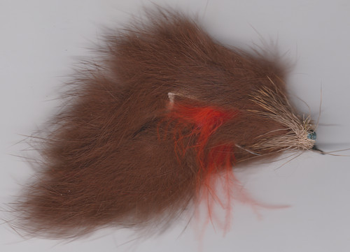 Pêche carnassiers le - pêche, 🐰le
